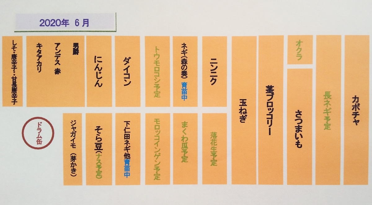 f:id:mamichan-yasai:20200607110436j:plain