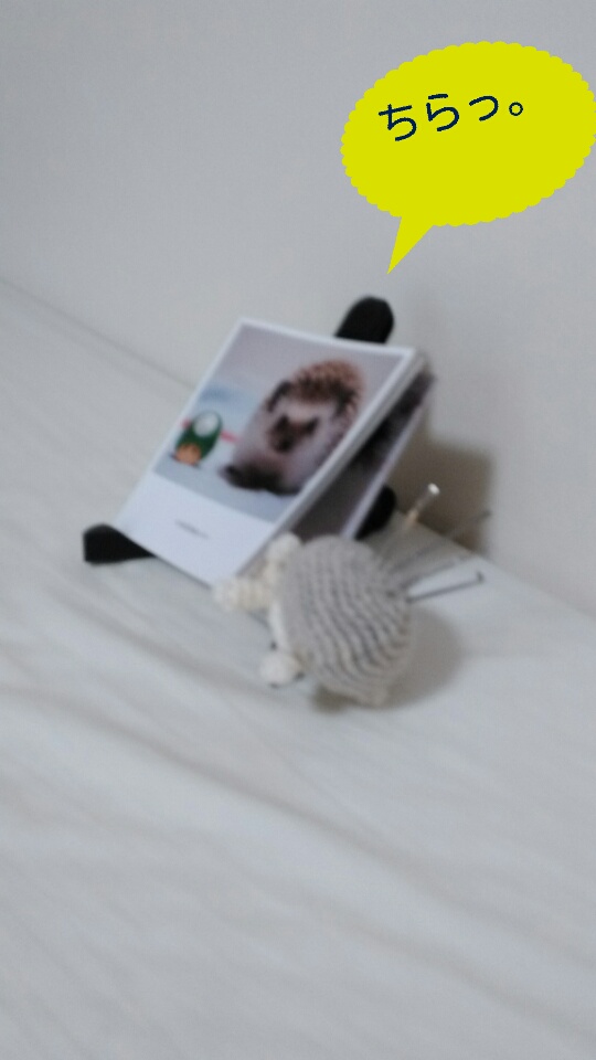 f:id:mamichansan:20150905201556j:plain f:id:mamichansan:20150905201556j:plain