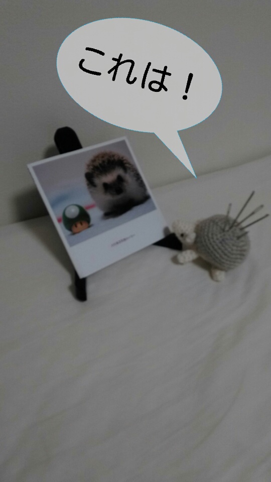 f:id:mamichansan:20150905201619j:plain f:id:mamichansan:20150905201619j:plain
