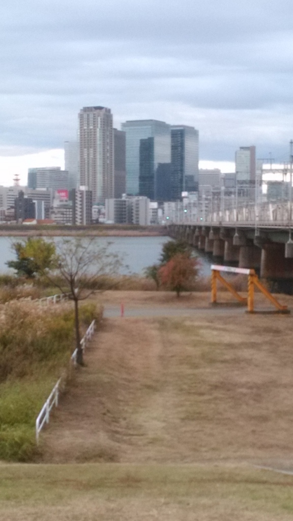 f:id:mamichansan:20161114171812j:plain