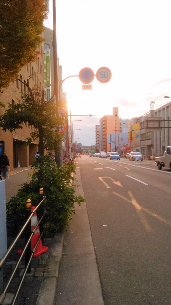 f:id:mamichansan:20161114172258j:plain