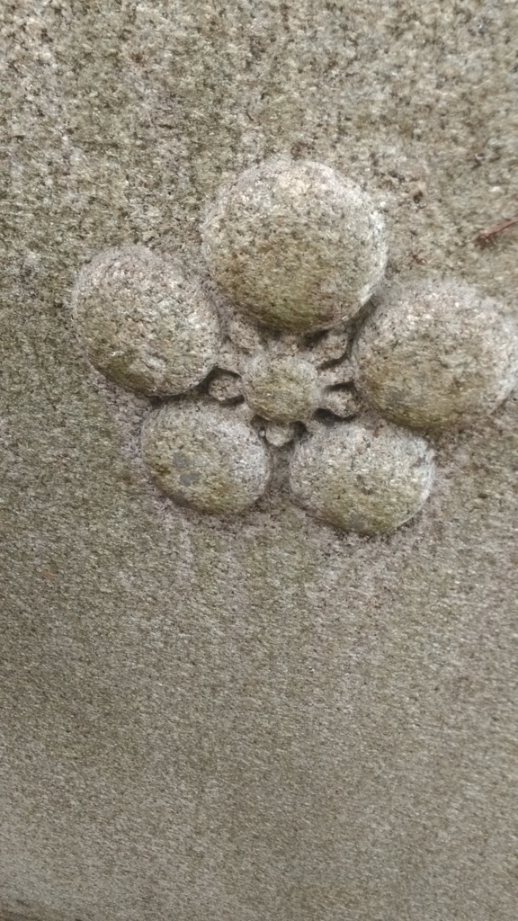 f:id:mamichansan:20180113170033j:plain f:id:mamichansan:20180113170033j:plain