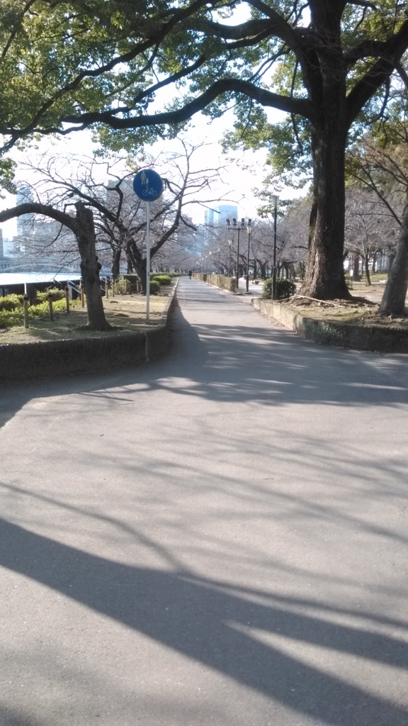 f:id:mamichansan:20180113170553j:plain f:id:mamichansan:20180113170553j:plain