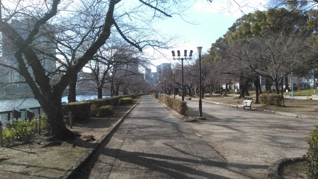 f:id:mamichansan:20180113170620j:plain f:id:mamichansan:20180113170620j:plain