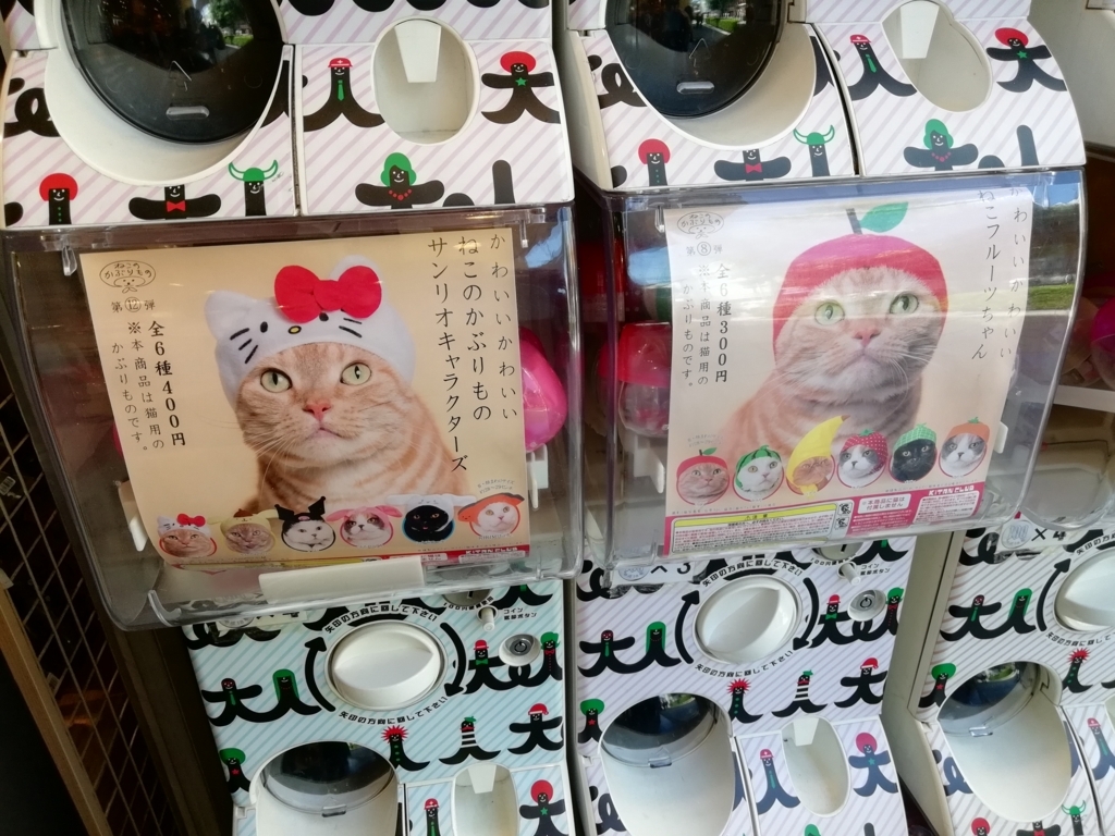f:id:mamichansan:20180603163229j:plain f:id:mamichansan:20180603163229j:plain
