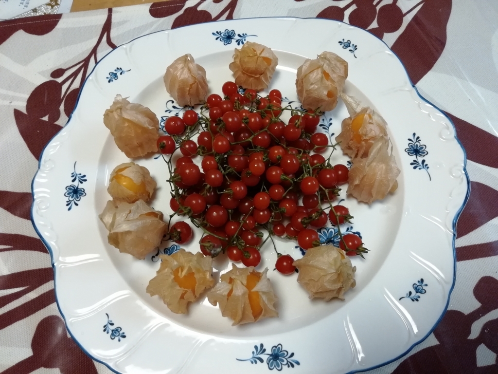 f:id:mamichansan:20180616204758j:plain f:id:mamichansan:20180616204758j:plain