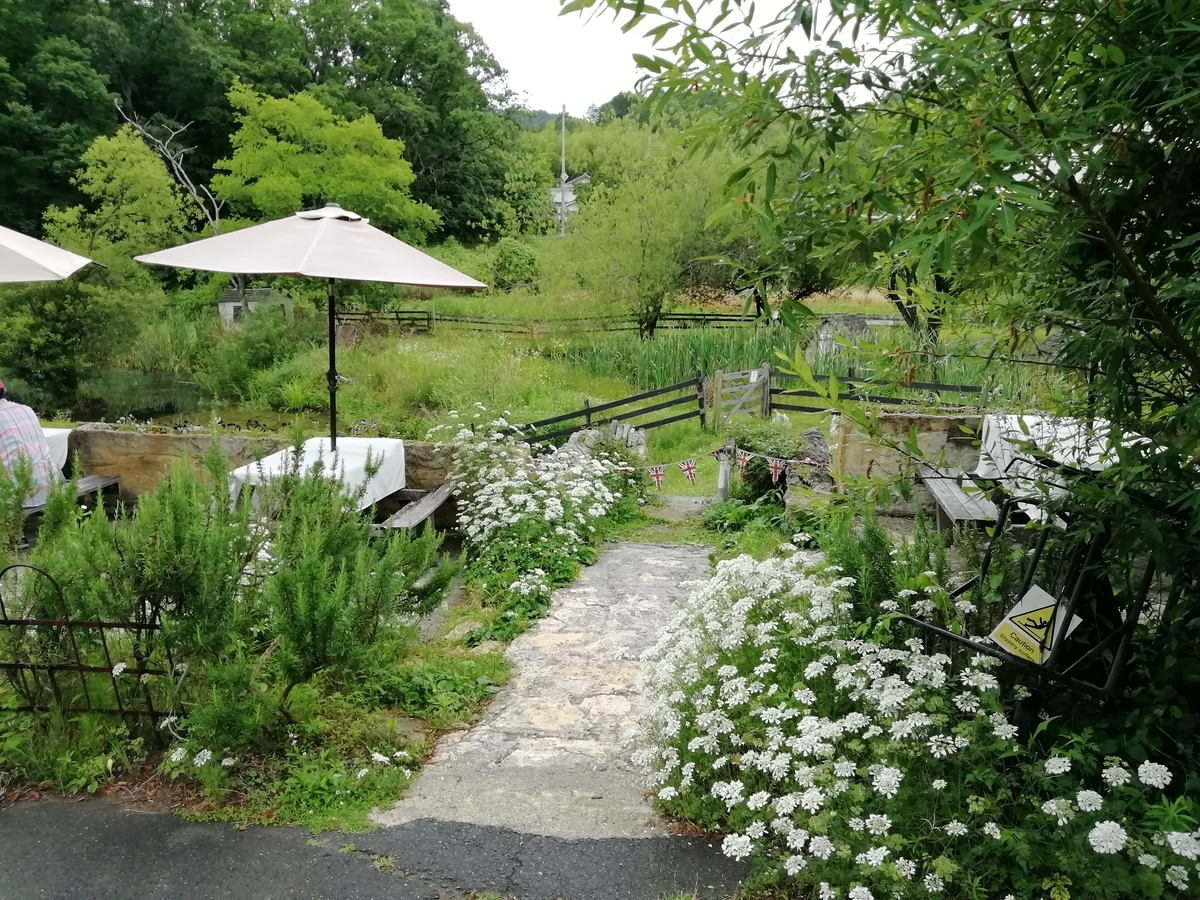 f:id:mamichansan:20190616173532j:plain f:id:mamichansan:20190616173532j:plain