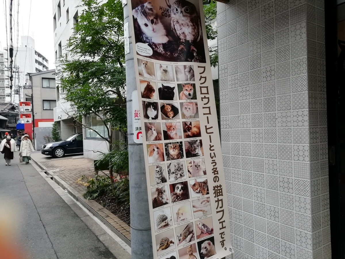 f:id:mamichansan:20200216080425j:plain f:id:mamichansan:20200216080425j:plain