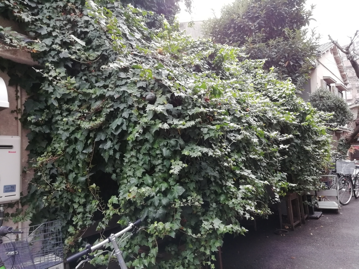 f:id:mamichansan:20200216081354j:plain