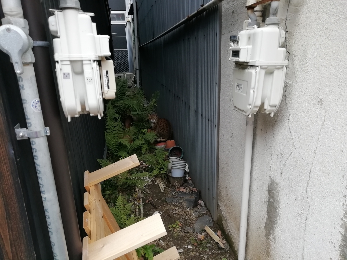 f:id:mamichansan:20200216081602j:plain