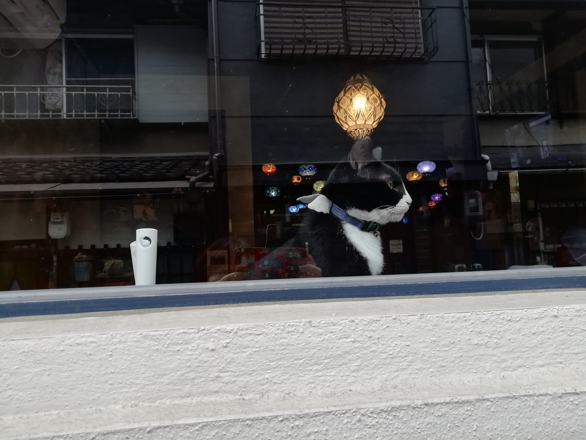 f:id:mamichansan:20200216081822j:plain