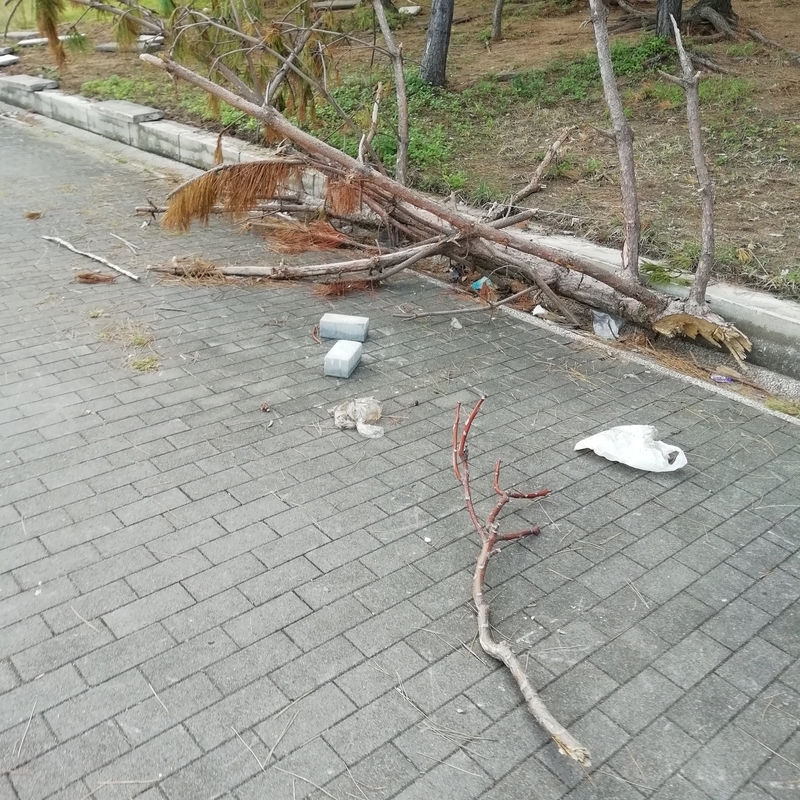 シーサイドコスモ 台風被害