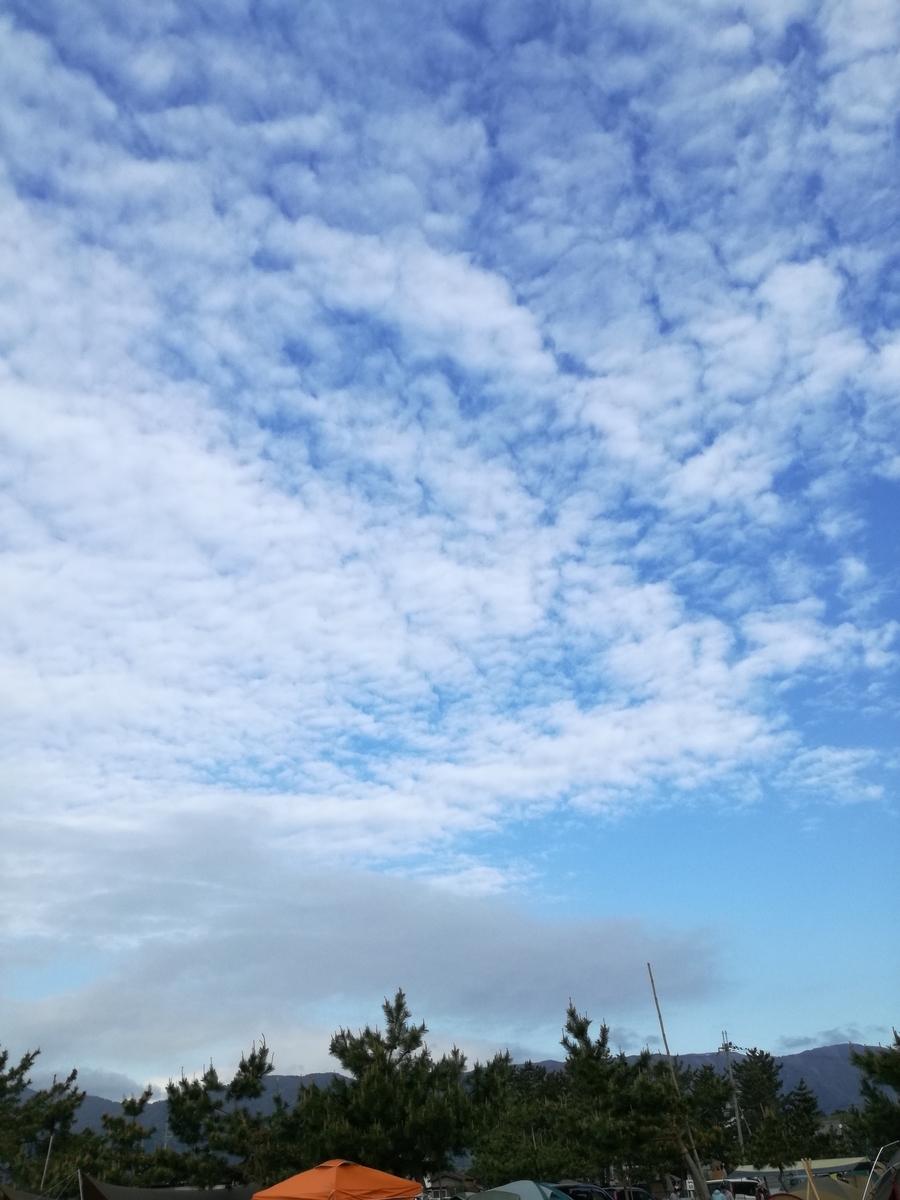 f:id:mamieco:20190811162108j:plain f:id:mamieco:20190811162108j:plain