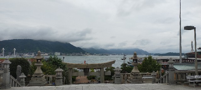 f:id:mamieco:20220908130046j:image f:id:mamieco:20220908130046j:image