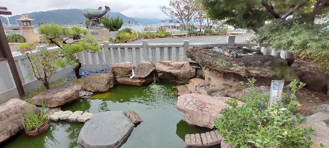 f:id:mamieco:20220908131825j:image f:id:mamieco:20220908131825j:image