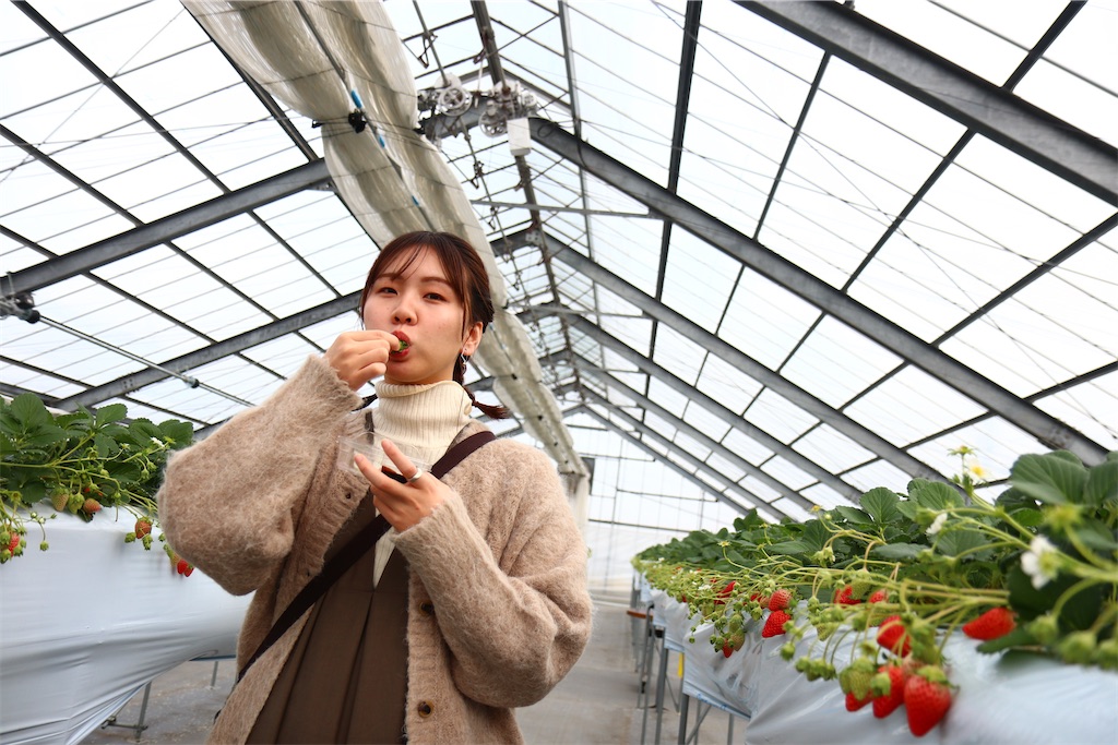 f:id:mamikan_19:20230126104913j:image f:id:mamikan_19:20230126104913j:image