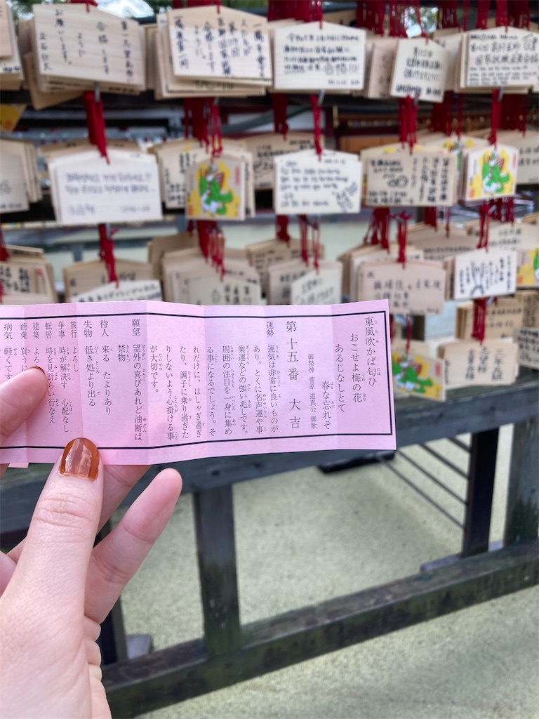f:id:mamikan_19:20230126105154j:image f:id:mamikan_19:20230126105154j:image