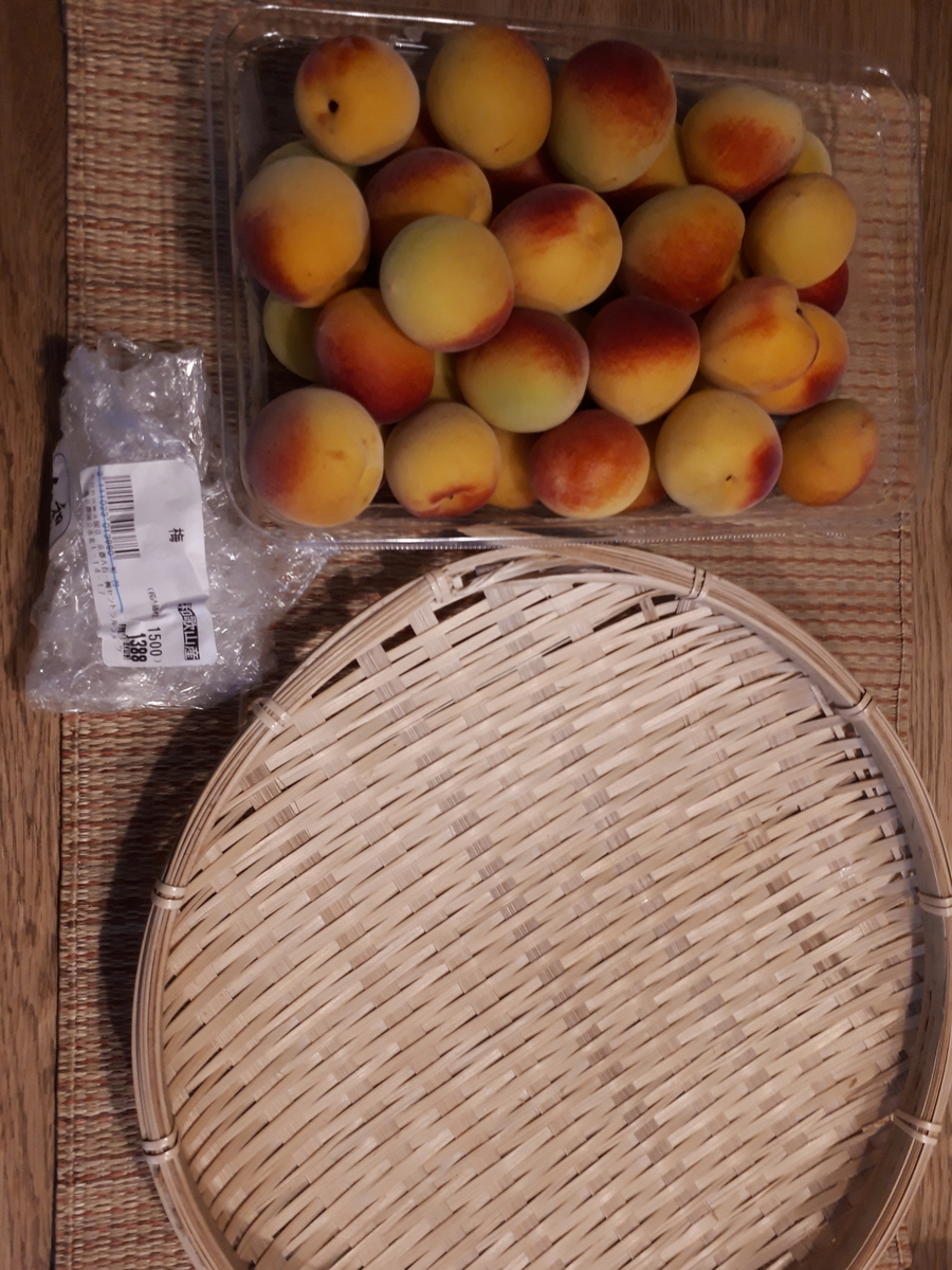 f:id:mamikkko:20190706180514j:plain f:id:mamikkko:20190706180514j:plain
