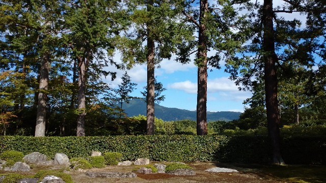 f:id:mamikkko:20191008001637j:image f:id:mamikkko:20191008001637j:image