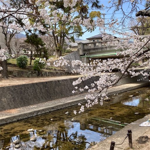 f:id:mamikotan:20250401103617j:image