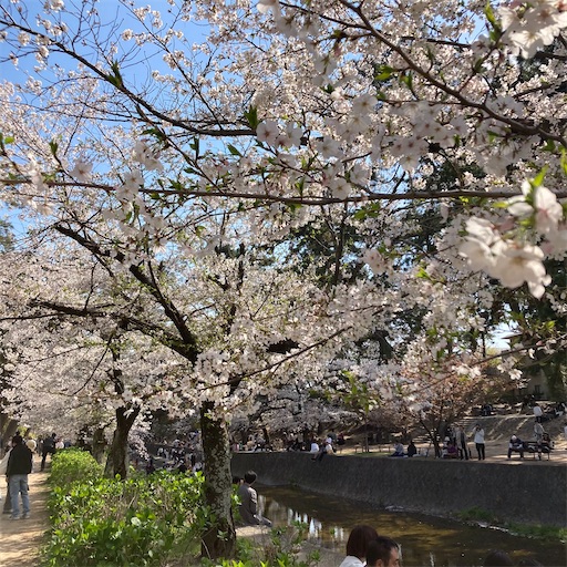 f:id:mamikotan:20250406212056j:image