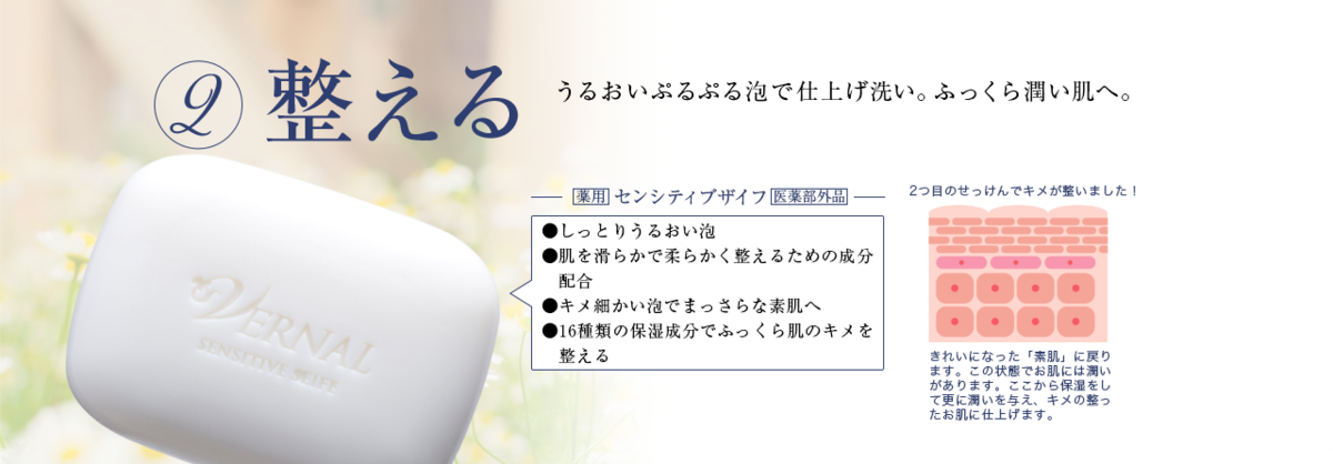 f:id:mamill:20190325145226p:plain