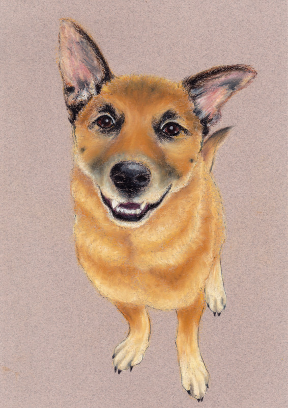 f:id:mamimami_LA:20160604232225j:plain