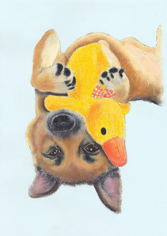 f:id:mamimami_LA:20160607172502j:plain