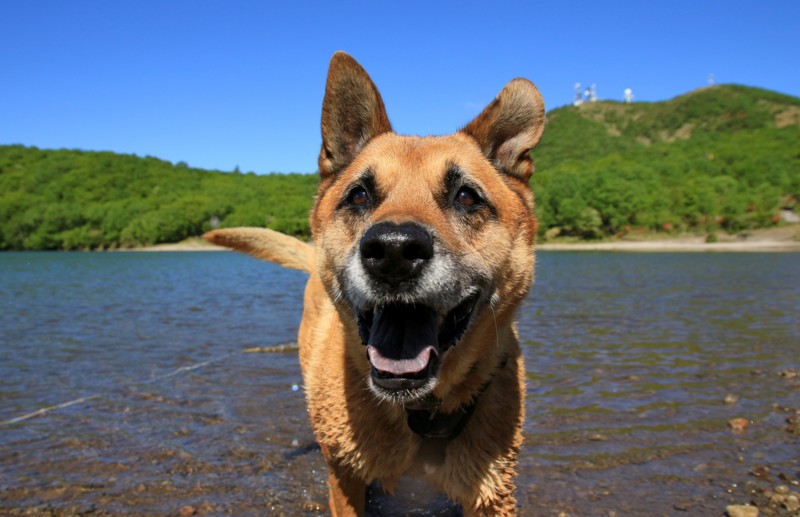 f:id:mamimami_LA:20160610084338j:plain