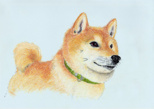 f:id:mamimami_LA:20160703215756j:plain