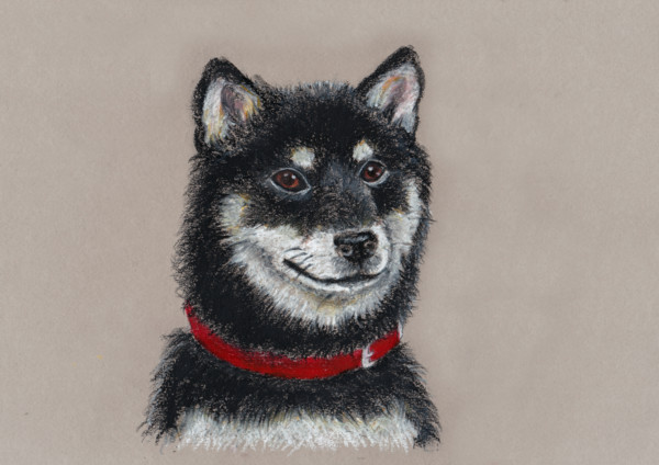 f:id:mamimami_LA:20160703220035j:plain