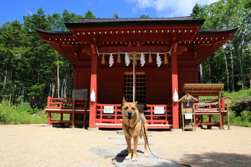 f:id:mamimami_LA:20160711100208j:plain