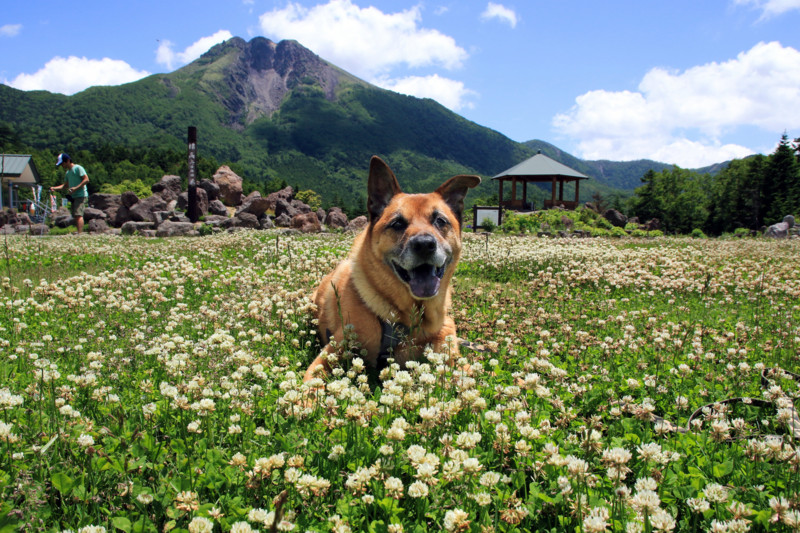 f:id:mamimami_LA:20160711115645j:plain