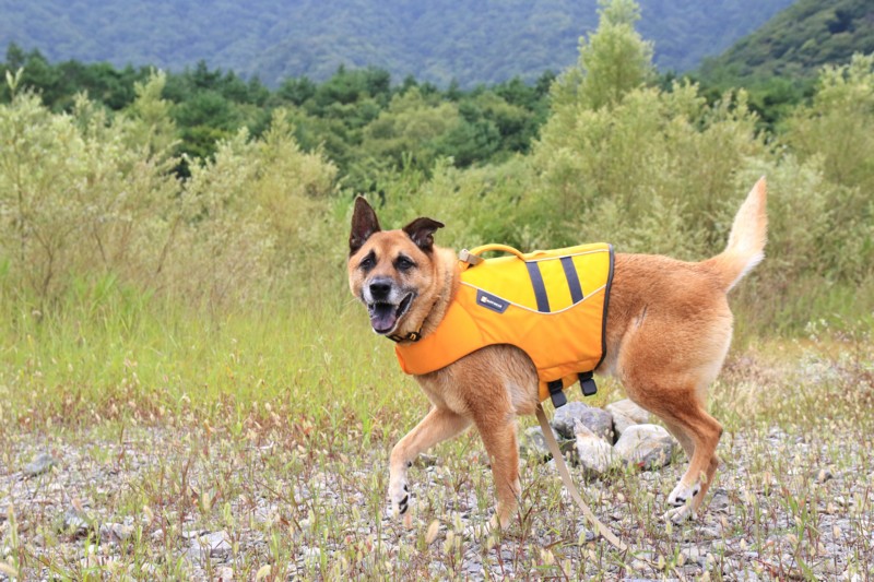 f:id:mamimami_LA:20160819105651j:plain