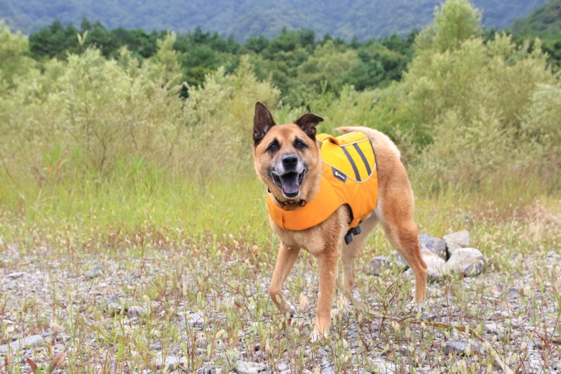 f:id:mamimami_LA:20160819105652j:plain