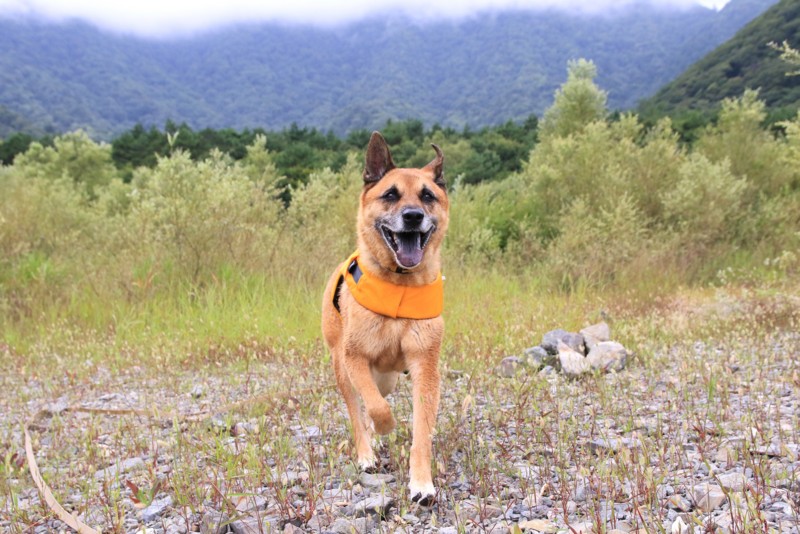 f:id:mamimami_LA:20160819105807j:plain