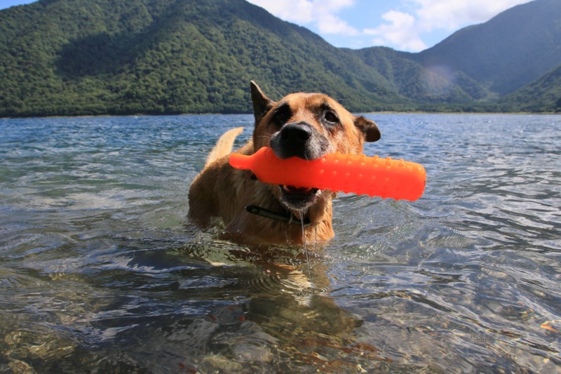 f:id:mamimami_LA:20160819141433j:plain