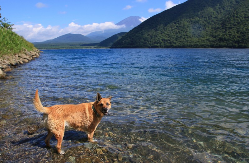 f:id:mamimami_LA:20160819141525j:plain