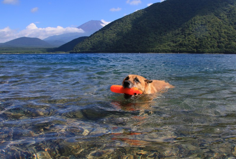 f:id:mamimami_LA:20160819141623j:plain