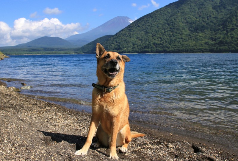 f:id:mamimami_LA:20160819142941j:plain