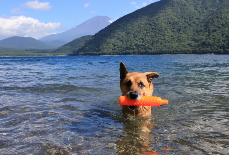 f:id:mamimami_LA:20160819143016j:plain