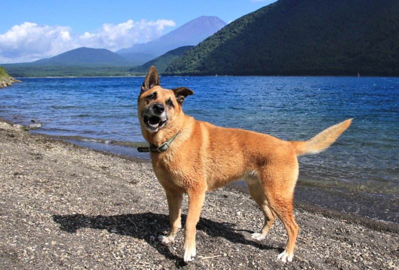 f:id:mamimami_LA:20160819143702j:plain