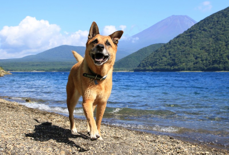 f:id:mamimami_LA:20160819143915j:plain