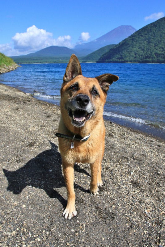 f:id:mamimami_LA:20160819143947j:plain