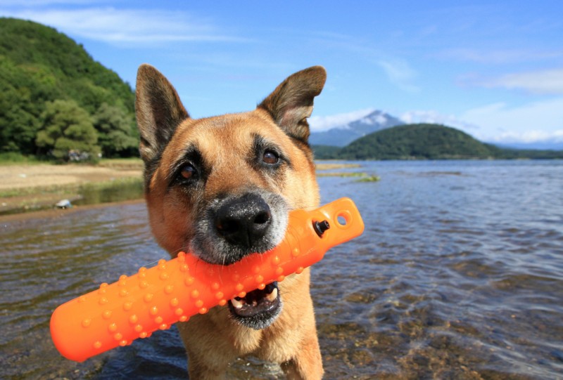 f:id:mamimami_LA:20160924100350j:plain