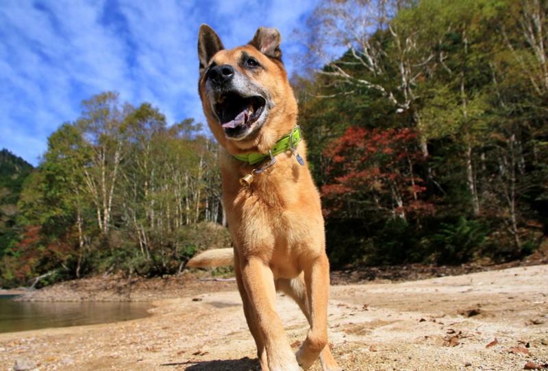 f:id:mamimami_LA:20161007101052j:plain