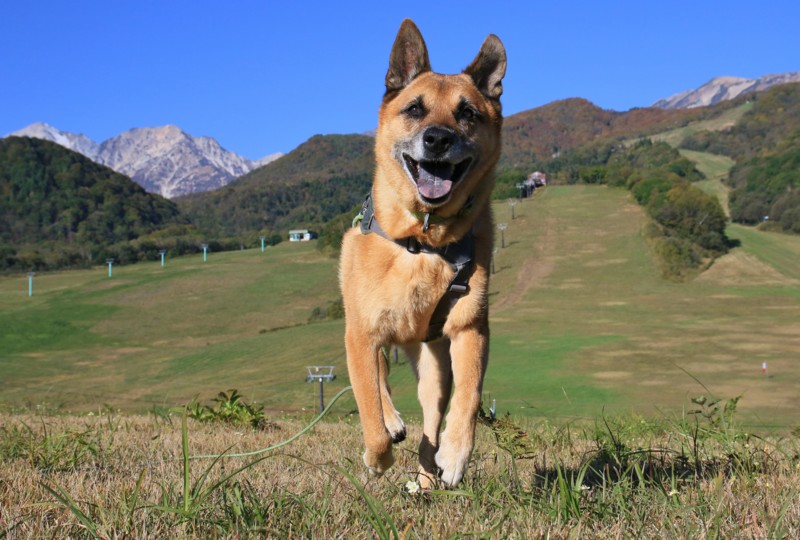 f:id:mamimami_LA:20161015081505j:plain