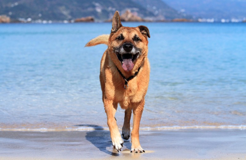 f:id:mamimami_LA:20161209113501j:plain f:id:mamimami_LA:20161209113501j:plain