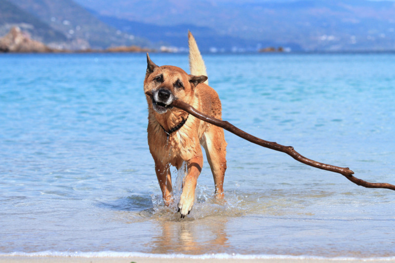 f:id:mamimami_LA:20161209113705j:plain f:id:mamimami_LA:20161209113705j:plain