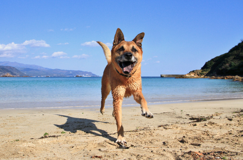 f:id:mamimami_LA:20161209113738j:plain f:id:mamimami_LA:20161209113738j:plain